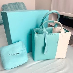 SOLD Tiffany color block micro tote